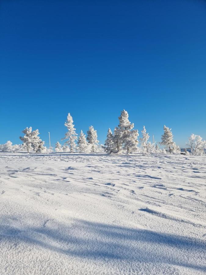 Rakovalkia Apartment Saariselkä Exteriör bild